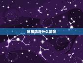 属相鸡与什么婚配，属相是鸡与什么属相是上等婚