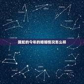 属蛇的今年的婚姻情况怎么样，2022 年属蛇男婚姻是什么状况