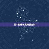 属牛和什么属相最合财，属牛和什么属相合财