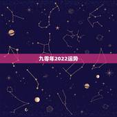 九零年2022运势，属虎人2022年全年运势