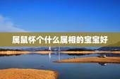 属鼠怀个什么属相的宝宝好，属鼠的夫妻要什么属相的孩子好