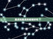 属虎和属虎的婚姻好吗，属虎的和属虎的结婚好不好？