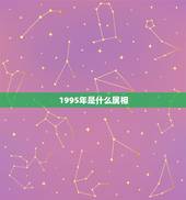 1995年是什么属相，1995年五行属什么