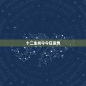 十二生肖今今日运势，黄金易园十二生肖今日运势 你好属猴80年的今明两天