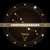 夫妻相克如何化解属猴和属鸡，属鸡和属猴做夫妻可以吗