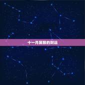 十一月属猴的财运，11月运势2022 生肖