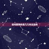 请问属狗的是几几年出生的，62岁是几几年出生的