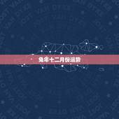 兔年十二月份运势，属兔 农历生日正月12 求2010的运势