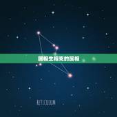 属相生相克的属相，十二生肖的相生相克