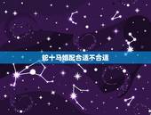 蛇十马婚配合适不合适，属蛇的和属马相配吗