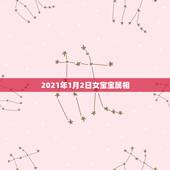 2021年1月2日女宝宝属相，2021年一月出生的宝宝是属什么