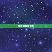 属虎男最佳婚配，属虎和什么属相最配