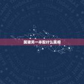 属猪另一半配什么属相，属猪的和什么属相最配