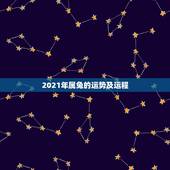 2021年属兔的运势及运程，属兔2021年运势及运程女性