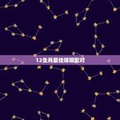12生肖最佳婚姻配对，十二生肖婚姻配对最好呢？