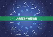 人类是怎样交匹配的，真的很好奇，人类是怎么学会交配的