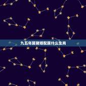 九五年属猪婚配属什么生肖，95年属猪的和什么属相最配