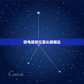 铜龟摆放位置头朝哪边，铜龟摆件头的方向