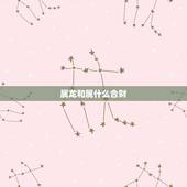 属龙和属什么合财，属龙和属什么的相配