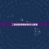 二条龙船得锦标是什么属相，新年划龙船是什么寓意，是哪方面的习俗？