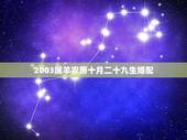 2003属羊农历十月二十九生婚配，2003属羊婚配
