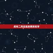 虎年二月出生的男孩名字，虎年2月宝宝名字