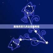 属兔农历几月出生最有福，生肖免出生农历几月更好