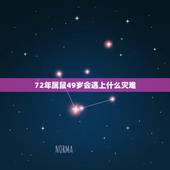 72年属鼠49岁会遇上什么灾难，属鼠人穿什么颜色最旺