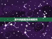 属牛的和属龙的相配吗，属龙的和什么属相最配相克