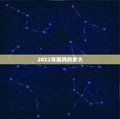 2022年属狗的多大，属狗2022年运势及运程