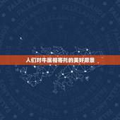 人们对牛属相寄托的美好愿景，团队愿景设定