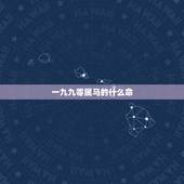 一九九零属马的什么命，1966属马灾难年龄