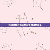 包含属猪在鸡年的运势如何的词条