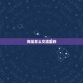 狗是怎么交流配的，大狗配小狗进不去怎么办