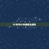 87年与91年婚配合适吗，87年男兔和91年羊女的婚姻，命运