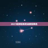 2021旺财旺桃花运微信网名，2021微信成熟男网名