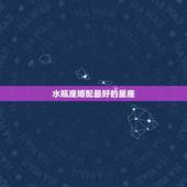 水瓶座婚配最好的星座，水瓶座的最好朋友是哪个星座？
