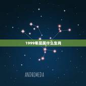1999年是属什么生肖，1999年属相是什么