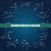 属相婚配男属猪和女属蛇相配，属猪女和什么属相最配