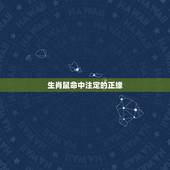 生肖鼠命中注定的正缘，属鼠2022 年正缘