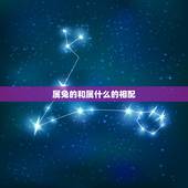 属兔的和属什么的相配，猪和什么属相最配