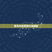 男马90年女鸡93年婚配，90年的马男和93年的女鸡孩子属什么好