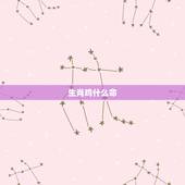 生肖鸡什么命，属鸡的人是什么命？