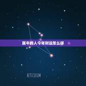 属牛的人今年财运怎么样 属牛人的财运建议