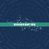 属虎的桃花是哪个属相，属虎的桃花极是猴什么意思呢？