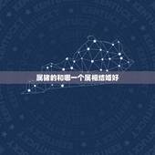 属猪的和哪一个属相结婚好，属猪的适合找个什么属相结婚