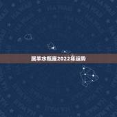 属羊水瓶座2022年运势，水瓶座2021年运势如何