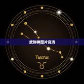 武财神图片高清，武财神赵公明图像左脸上为啥有个小吭？