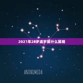2021年28岁虚岁属什么属相，2021年28岁属什么生肖