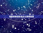属蛇和猪适合生什么属相宝宝，属蛇的生什么属相的孩子好